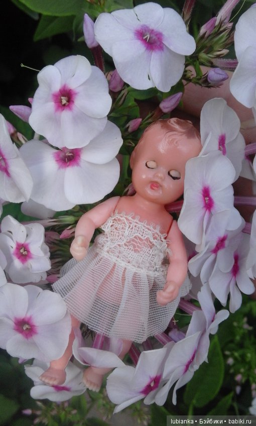 Немного летних красок в зимний день