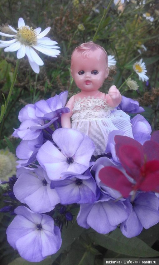 Немного летних красок в зимний день (фото 7)