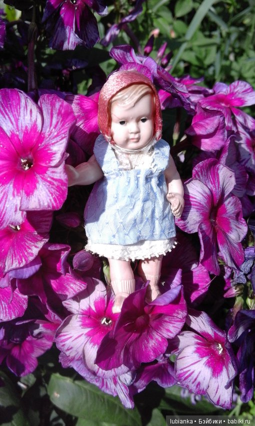 Немного летних красок в зимний день