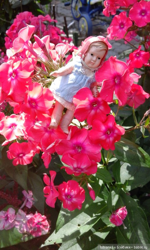 Немного летних красок в зимний день (фото 10)