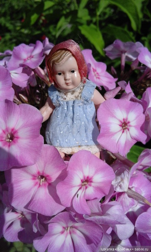 Немного летних красок в зимний день