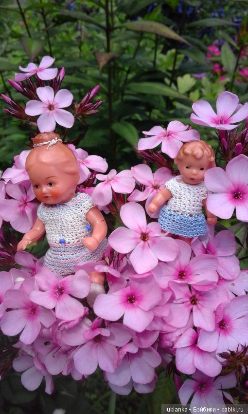 Немного летних красок в зимний день (фото 9)