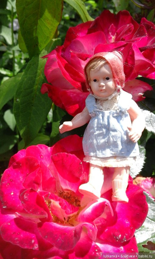 Прогулка по розовому саду (фото 9)