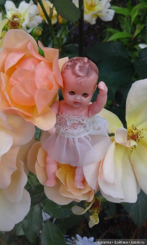 Прогулка по розовому саду