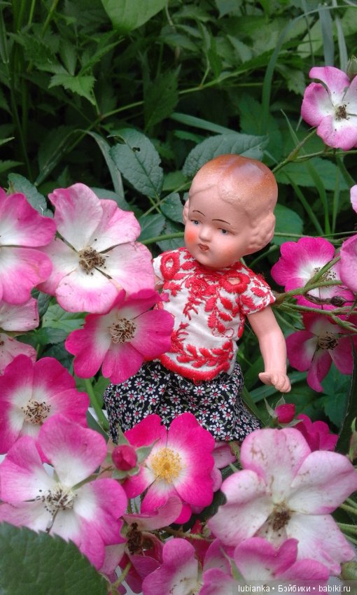 Прогулка по розовому саду