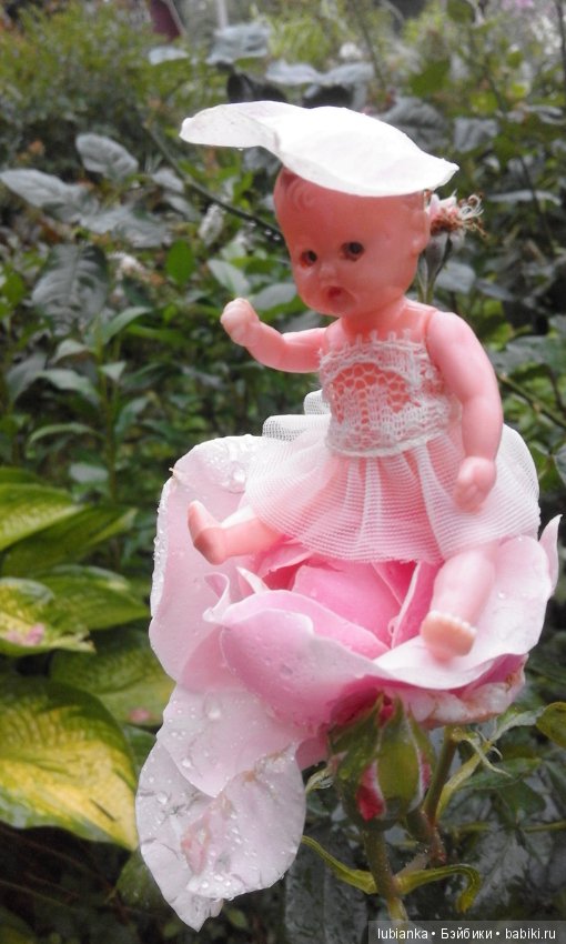 Прогулка по розовому саду