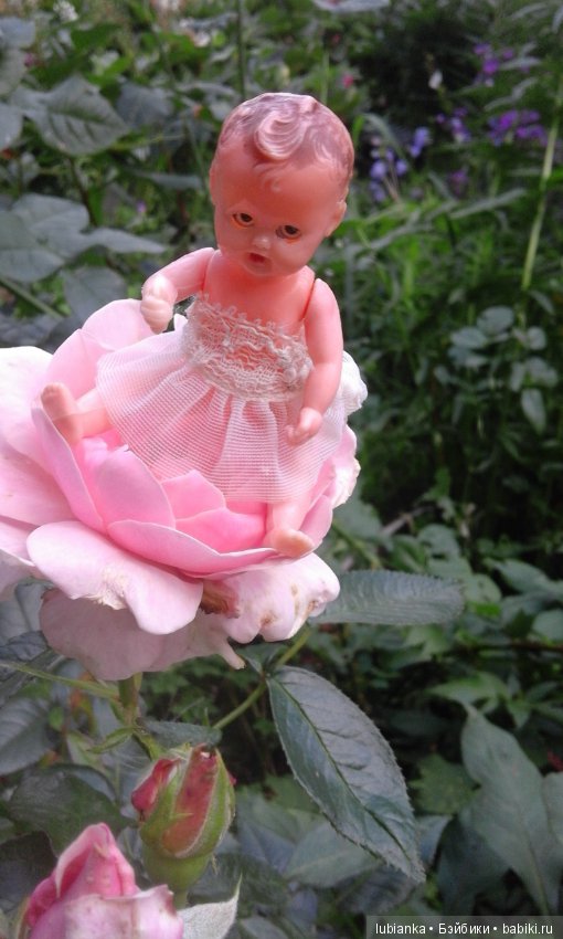 Прогулка по розовому саду