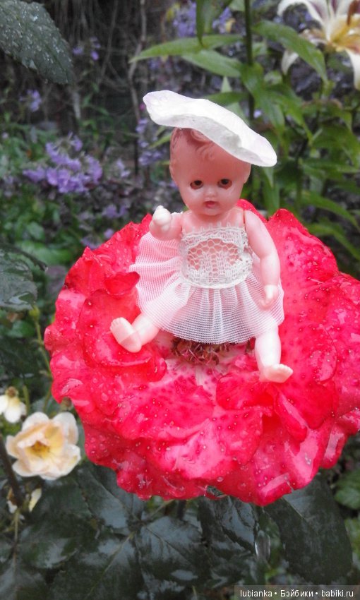 Прогулка по розовому саду