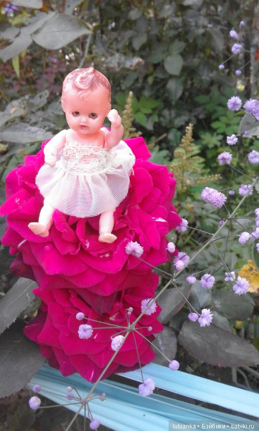 Прогулка по розовому саду