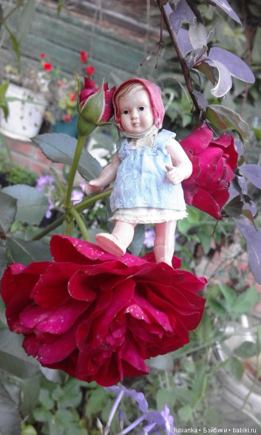 Прогулка по розовому саду (фото 8)