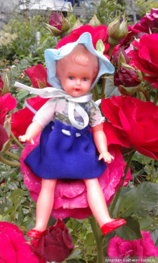 Прогулка по розовому саду