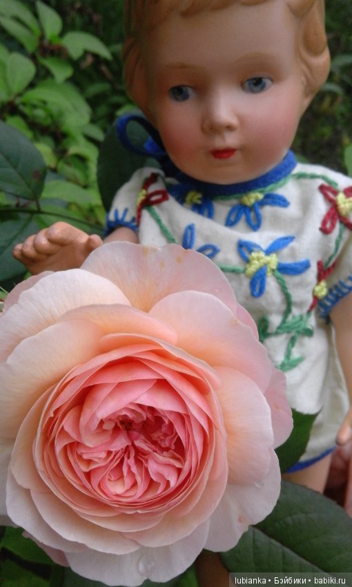 Прогулка по розовому саду (фото 6)