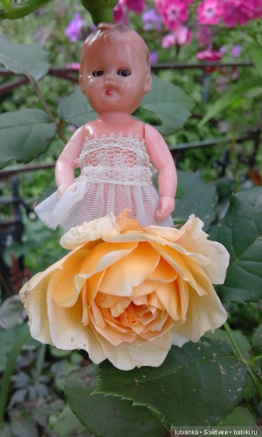 Прогулка по розовому саду