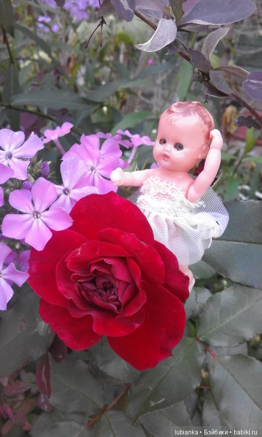 Прогулка по розовому саду