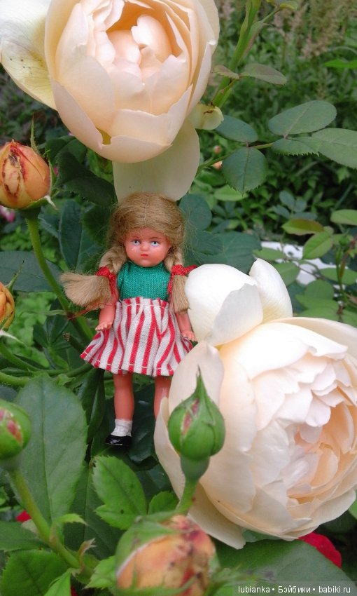 Прогулка по розовому саду