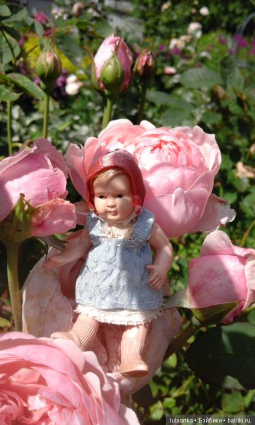 Прогулка по розовому саду