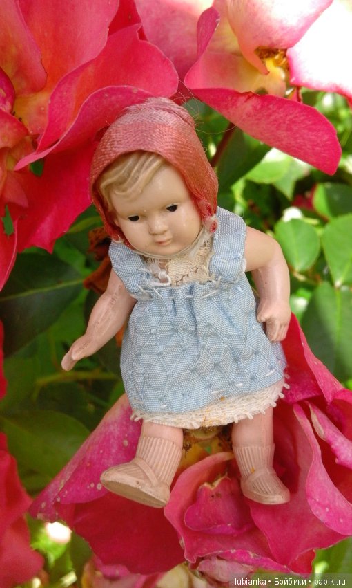 Прогулка по розовому саду