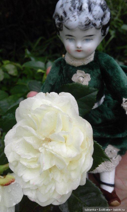 Прогулка по розовому саду