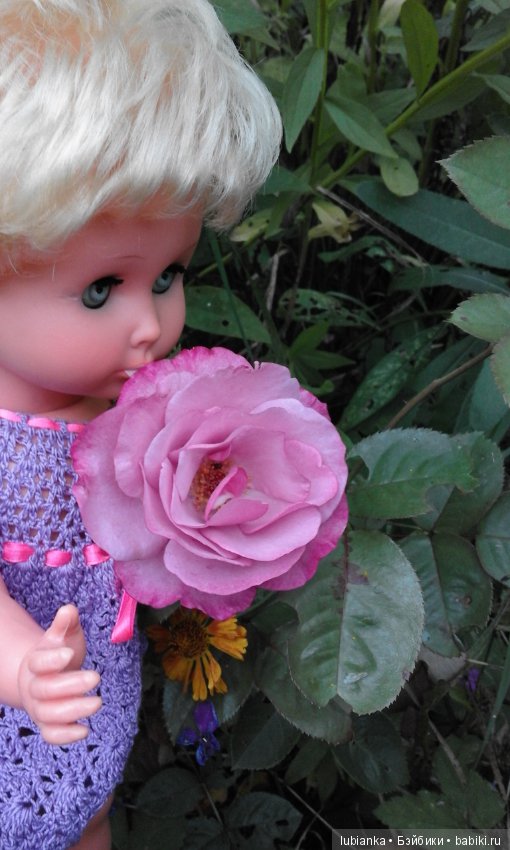 Прогулка по розовому саду (фото 5)