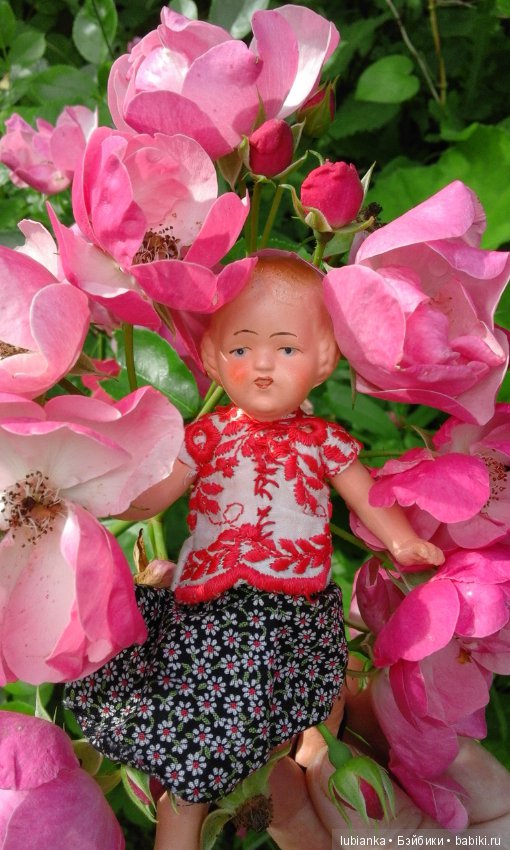 Прогулка по розовому саду