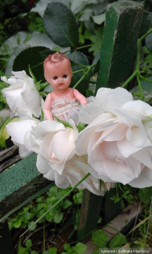 Прогулка по розовому саду