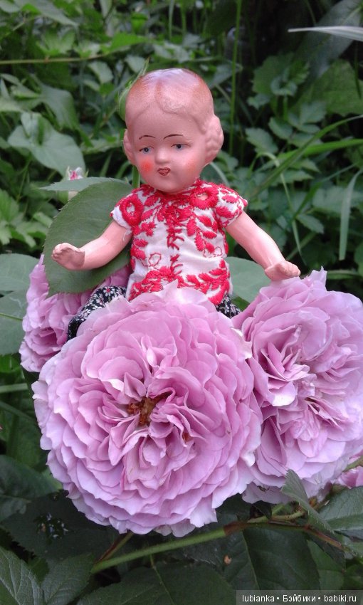 Прогулка по розовому саду