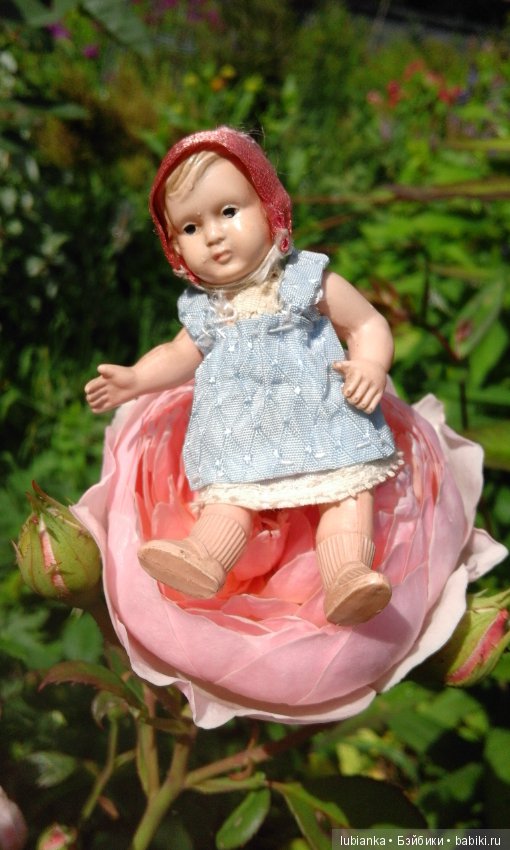 Прогулка по розовому саду