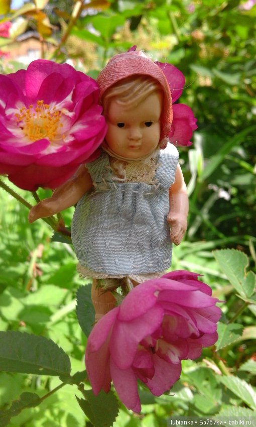 Прогулка по розовому саду (фото 10)