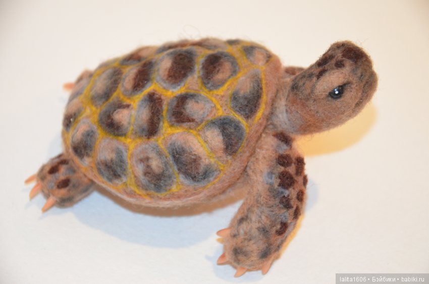Сухое валяние. Черепашка Наташка (фото 2)