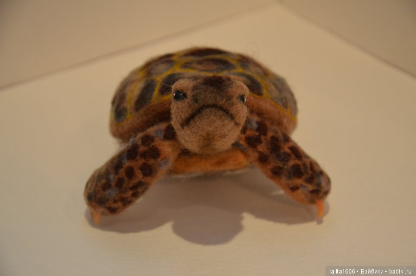 Сухое валяние. Черепашка Наташка