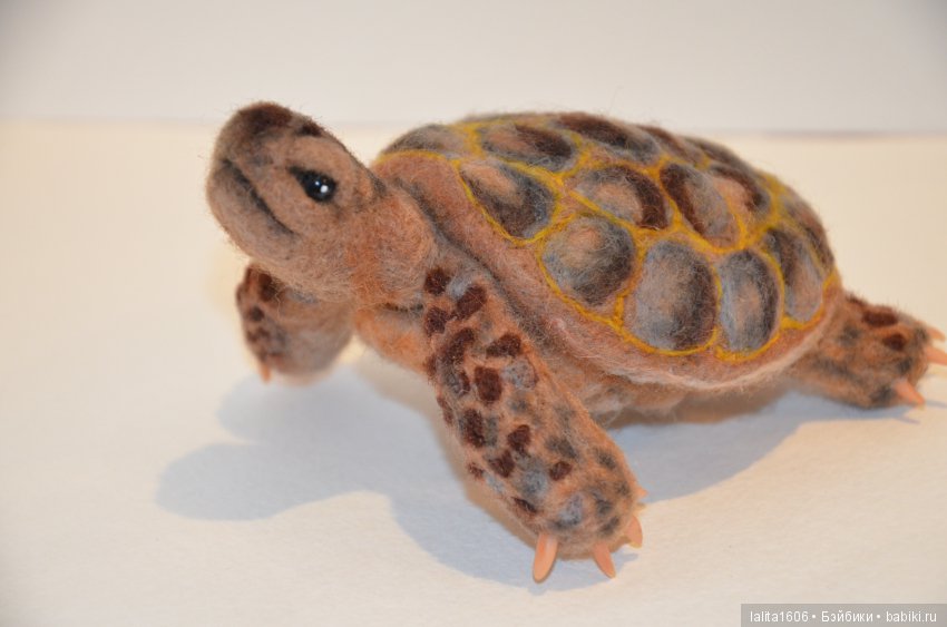 Сухое валяние. Черепашка Наташка (фото 5)