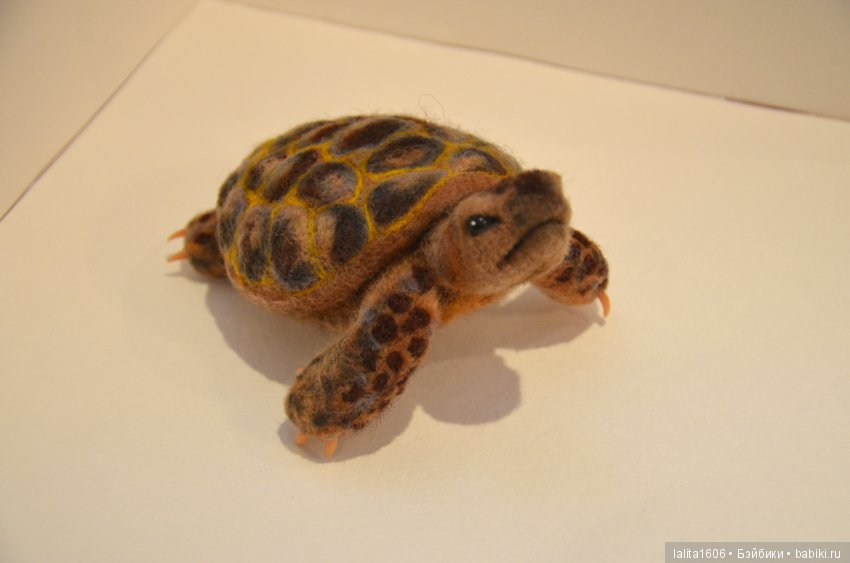 Сухое валяние. Черепашка Наташка