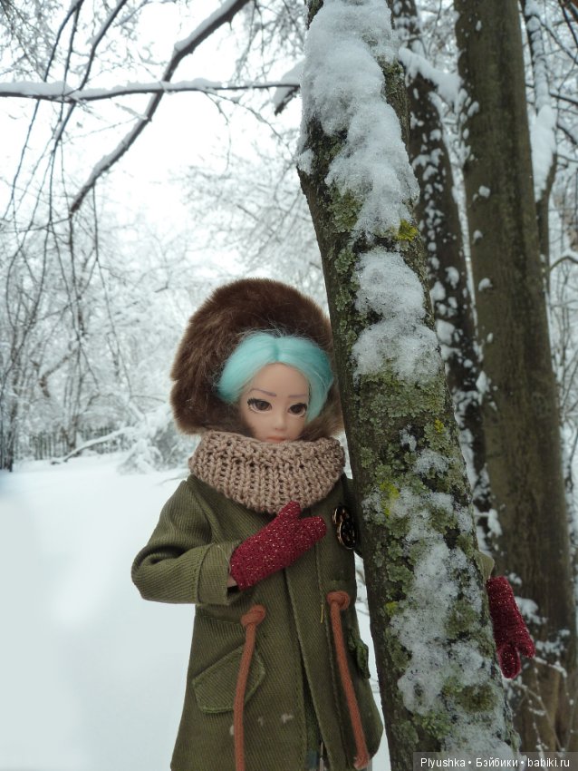 Зимняя сказка — Куклы и тела Obitsu (Обитсу): 1/6 (фото 4)