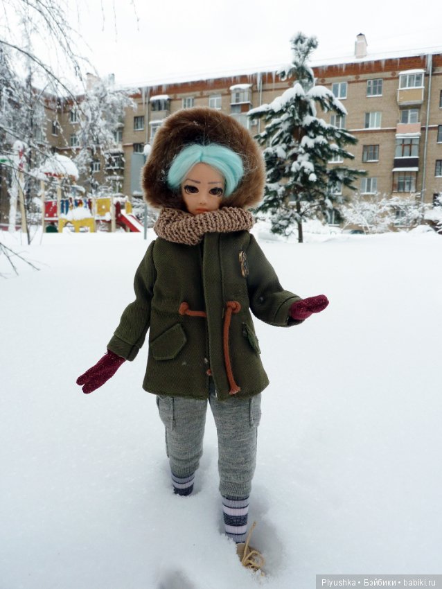 Зимняя сказка — Куклы и тела Obitsu (Обитсу): 1/6 (фото 2)