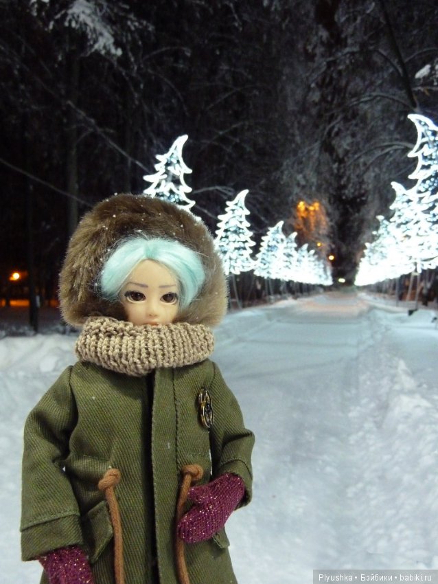 Зимняя сказка — Куклы и тела Obitsu (Обитсу): 1/6 (фото 6)