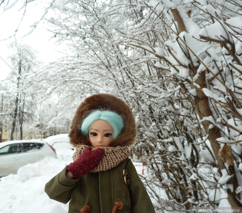 Зимняя сказка — Куклы и тела Obitsu (Обитсу): 1/6 (фото 3)