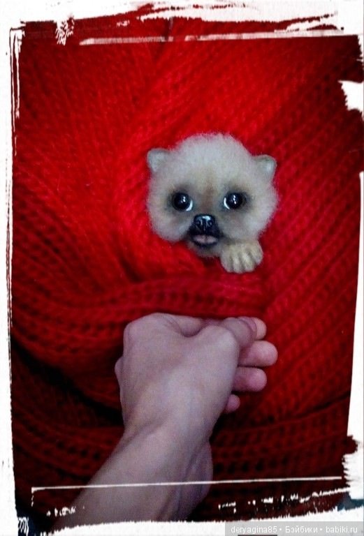 Мои брошки — Валяные игрушки из шерсти: сухое валяние