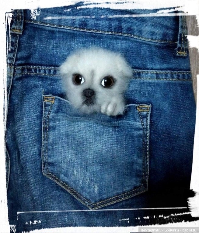 Мои брошки — Валяные игрушки из шерсти: сухое валяние