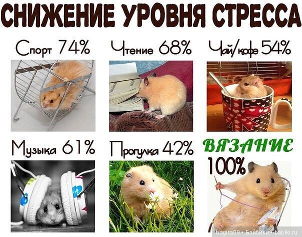 Про нас Вязальщицы — Болталка и разговоры обо всем: жизнь (фото 7)