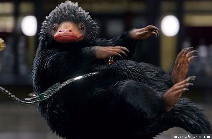 Nifflers грызуно-подобное существо с выкройкой