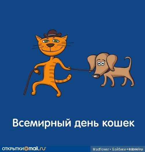 1 марта День Кошек — Одежда и обувь для кукол BJD (БЖД): 1/3