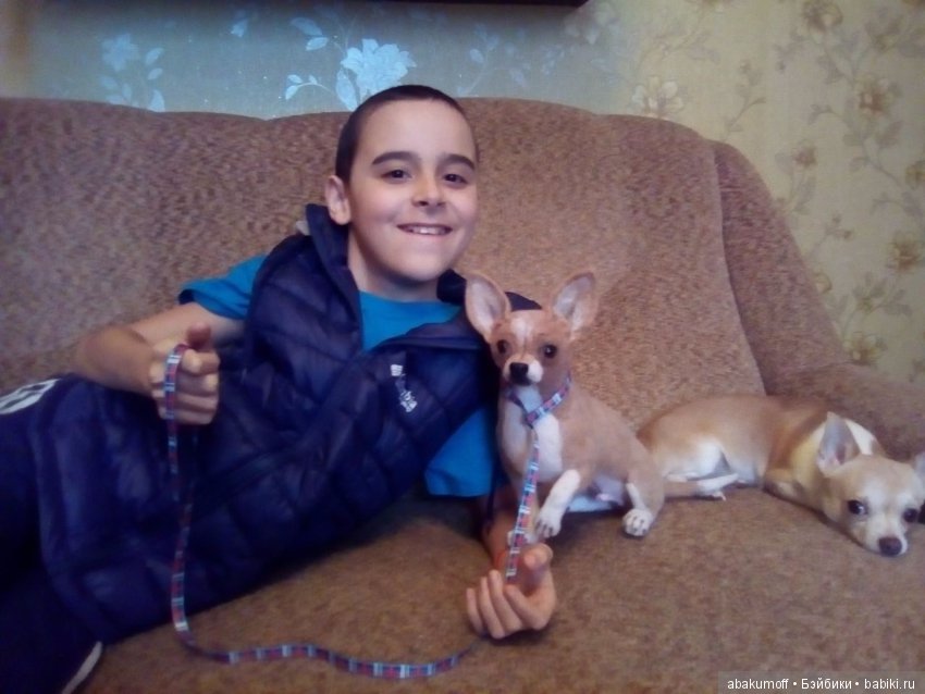 Чихуахуа из шерсти — Валяные игрушки из шерсти: сухое валяние (фото 3)