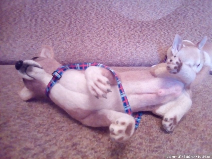 Чихуахуа из шерсти — Валяные игрушки из шерсти: сухое валяние (фото 4)