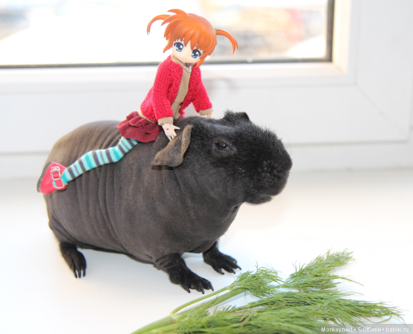 Атака анимэшек или Юи-тян и Бишамон опять шкодят (фото 7)