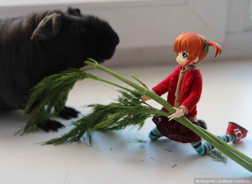 Атака анимэшек или Юи-тян и Бишамон опять шкодят (фото 3)