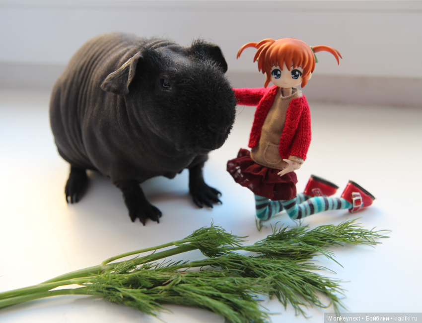 Атака анимэшек или Юи-тян и Бишамон опять шкодят (фото 5)