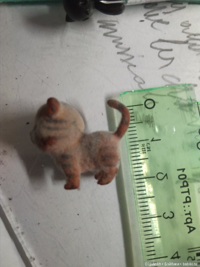 Возвращение Тимошки спустя 10 лет (фото 4)