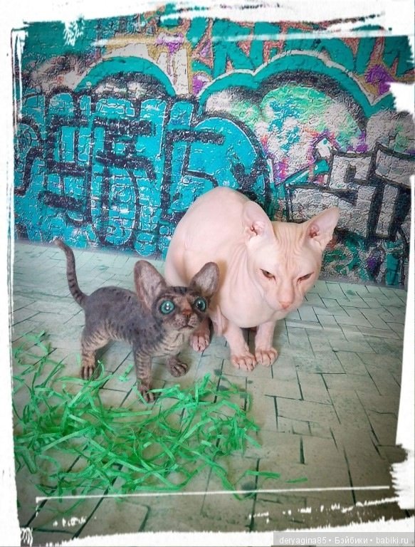 Котёнок породы сфинкс — Валяные игрушки из шерсти: сухое валяние