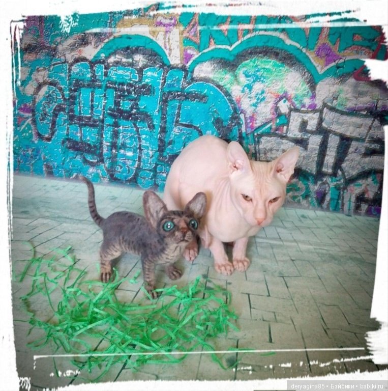 Котёнок породы сфинкс — Валяные игрушки из шерсти: сухое валяние (фото 2)