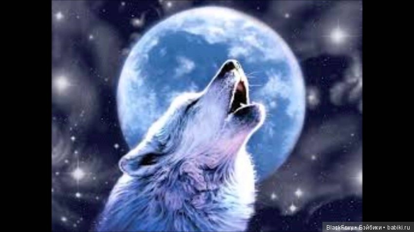 Набор кружек "Волки" — Другие хобби и увлечения: сад